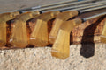 C-Club 5 iron